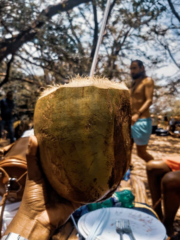 Dafu with straw at Kikuletwa Hot Springs