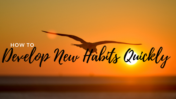 Eagle flying towards the sunset with words how to develop good habits quickly