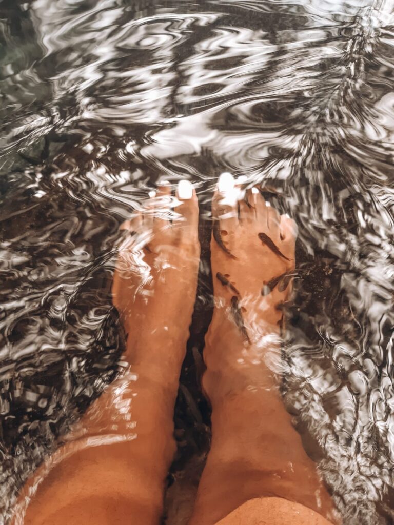 flesh eating fish feeding on dead skin at Kikuletwa hot springs